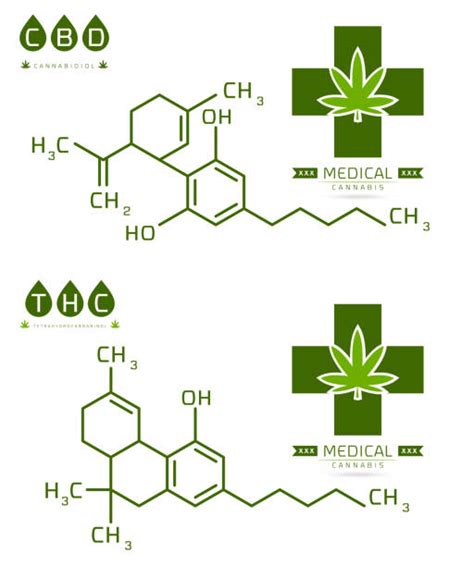 Image result for THC Molecule Vector