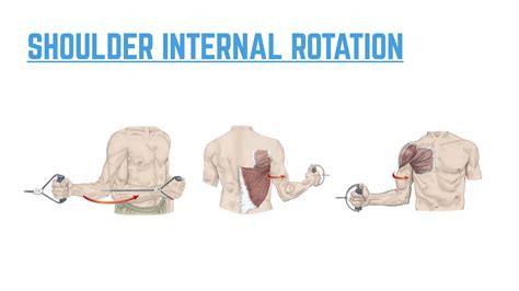 shoulder-internal-rotation.002 - Modern Athletics