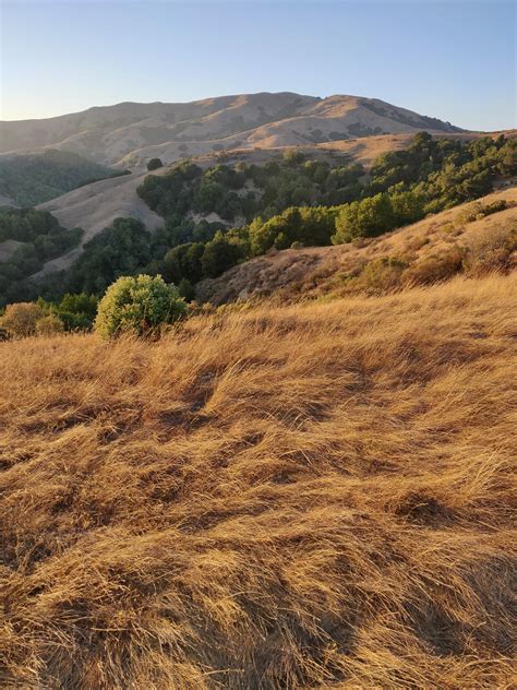 Loma Alta Weather at Richard Sayles blog