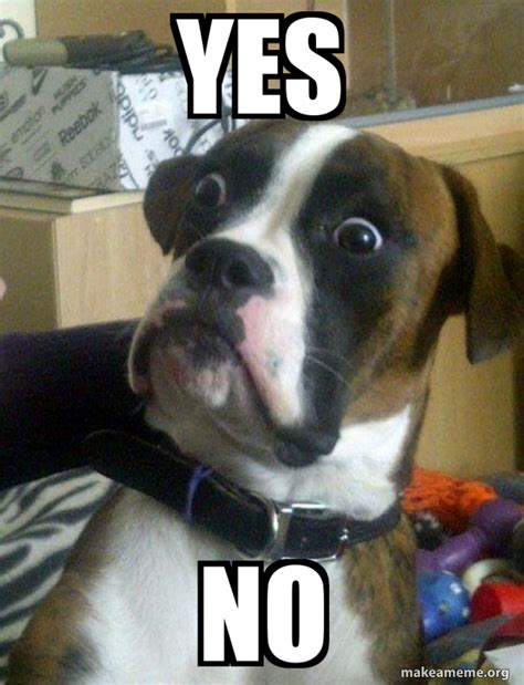 Yes No - Skeptical Dog Meme Generator