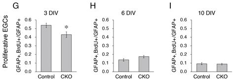 Calcineurin B1 Deficiency Reduces Proliferation, Increases Apoptosis ...