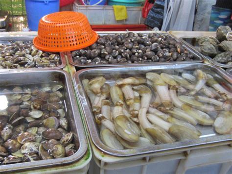 宁波海鲜市场、宁波水产市场、宁波野味批发市场地址在哪里
