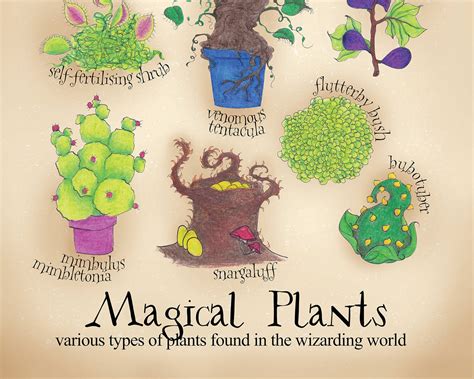 Magische planten Poster Mandrake print Harry Potter | Etsy