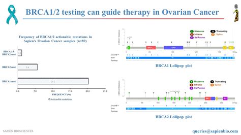 Image result for BRCA1 Testing