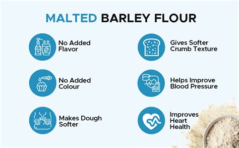TWF Malted Barley Flour | Professional | Diastatic | With Resealable ...