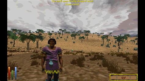 Image result for VR Mod Daggerfall