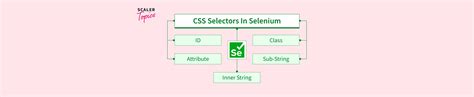 How to Locate Element Using CSS Selector in Selenium 的图像结果