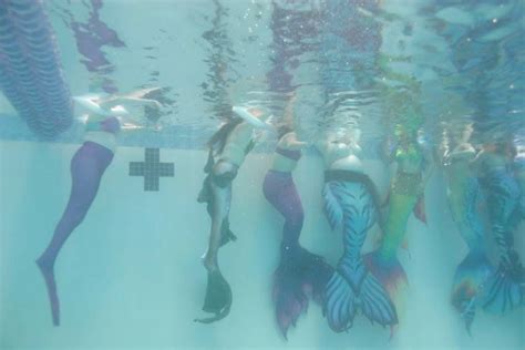 August 17th 2025 FAC Merfolk Photo and Swim Meetup, Freedom Aquatic and ...