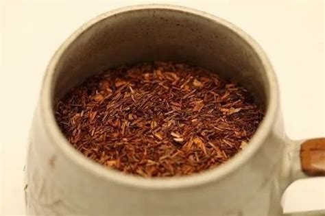Image result for Fun T Science Videos
