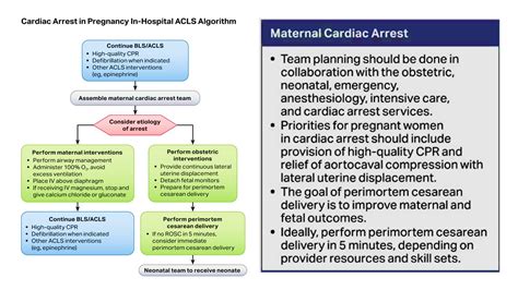 Image result for ACLS Code Algorithm