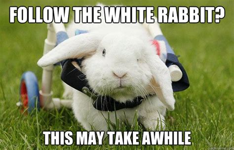 Time Meme 的图像结果