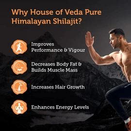 Pure Himalayan Shilajit - 20g | Enhances Strength & Stamina | Resins ...