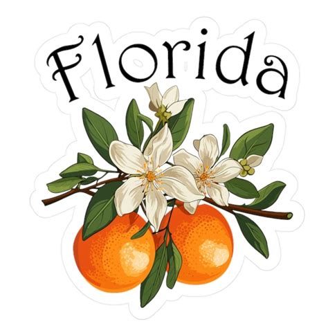 Florida State Flower Orange Blossom Decals - Perfect Vinyl Stickers for ...