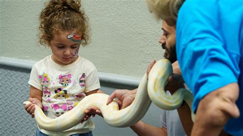Snakes, spiders, lizards took over Mesa Convention Center on Sunday