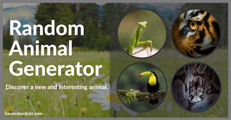 Image result for Random Animal Generator