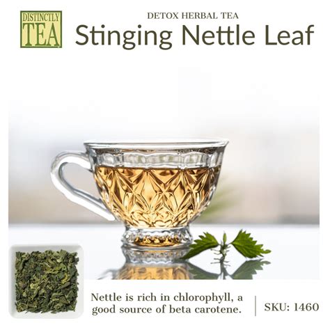 Stinging Nettle Leaf Herbal Tea