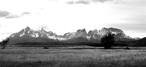 GLAMPING RIO SERRANO - CAJA LOS ANDES (Torres del Paine National Park ...