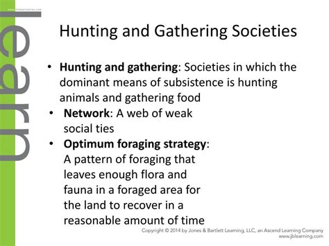 Example of Society 的图像结果