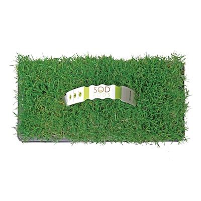 Plug Bermuda Sod at Lowes.com