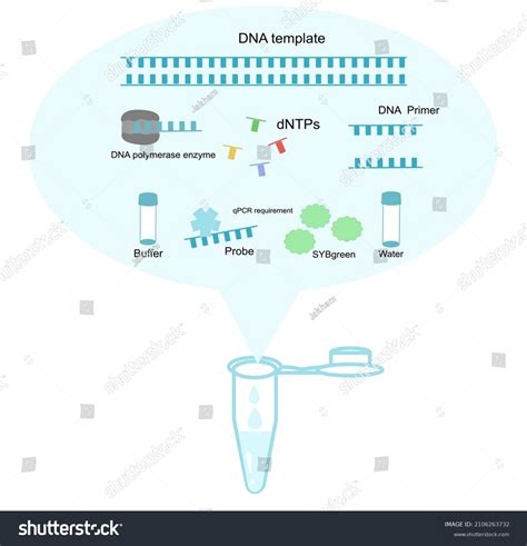 Polymerase Chain Reaction Flow Chart