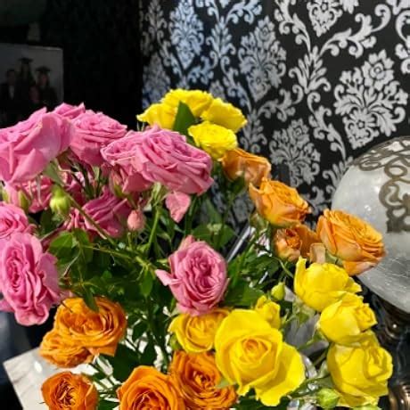 Amazon.in: Buy Gigabyte GeForce GT 1030 Low Profile 2 GB GDDR5 Graphics ...