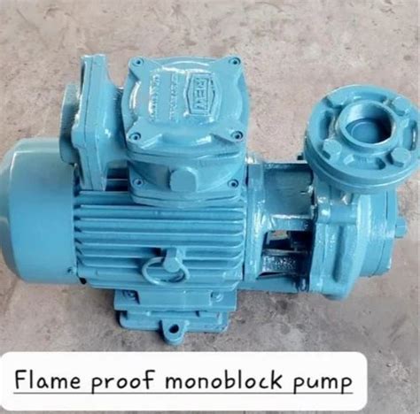 Flameproof Pump - Flame Proof Monoblock Pumps Manufacturer from Mumbai