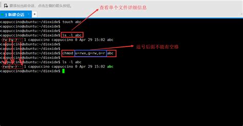 Chmod Ubuntu 的图像结果