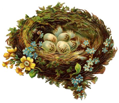 Nest Clip Art At Clkercom Vector Clip Art Online 4,717 Nest Clipart