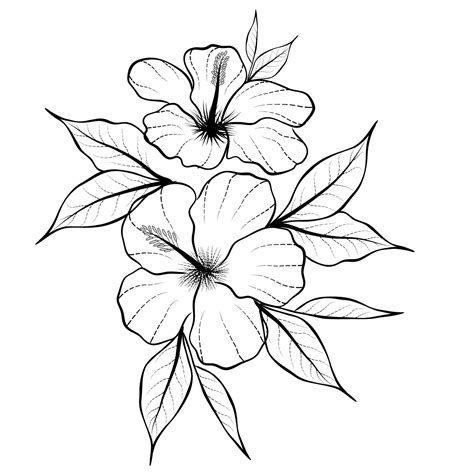 Free Vector line art and hand drawing flower art black and white flat ...