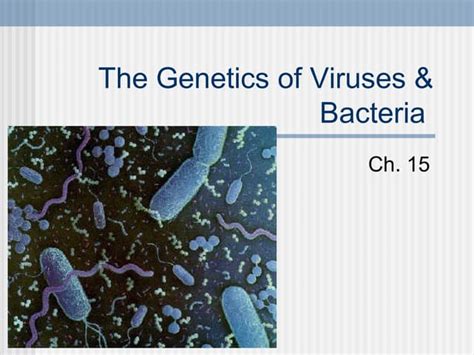 Image result for Negative and Positive Operons