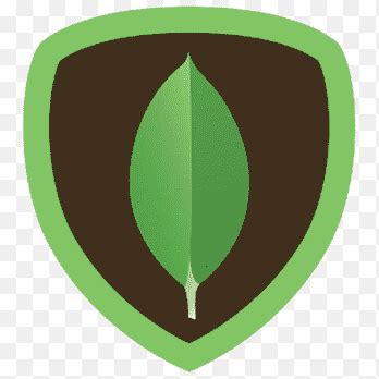 Insys Software Solutions - Leading IT Company in Sangli & Kolhapur ...