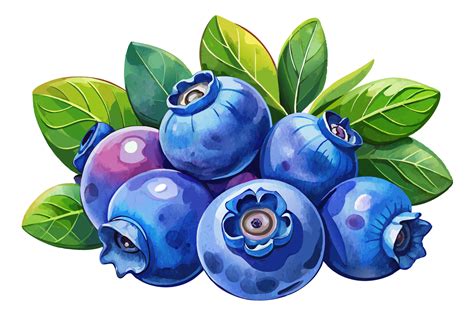 Blueberries Watercolor Clipart Graphic by MH Creation House · Creative ...