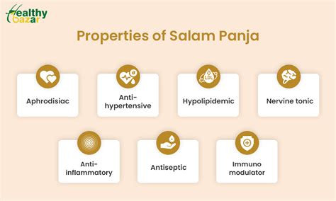 Salam (Salab Panja): 5 Remarkable Health Benefits Unveiled