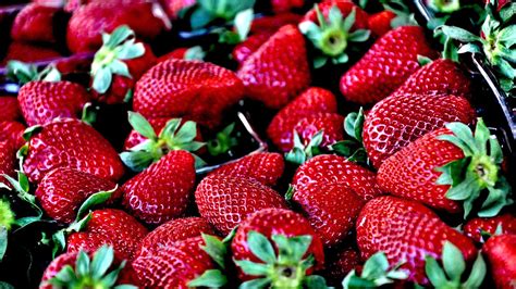 Scotts Valley Farmers’ Market opens Saturday - Press Banner | Scotts ...