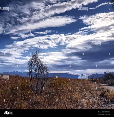 Amargosa river trail hi-res stock photography and images - Alamy
