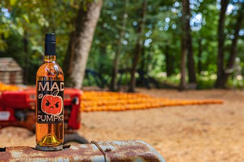 Celebrating Fall At Maan Farms Abbotsford - BestEver.Guide