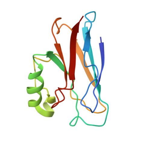 Image result for Azu Protein