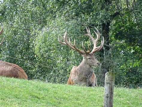 Pfaenderbahn (Bregenz) - 2022 What to Know Before You Go (with Photos ...