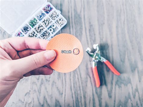 Snaps Tutorial 的图像结果