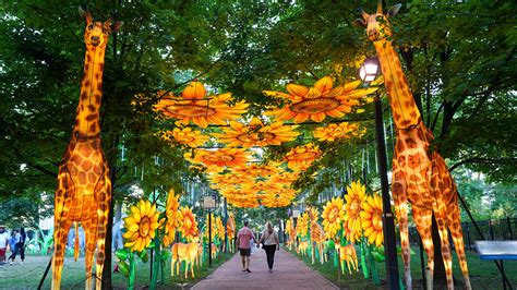 Image result for Spring Festival Celebration