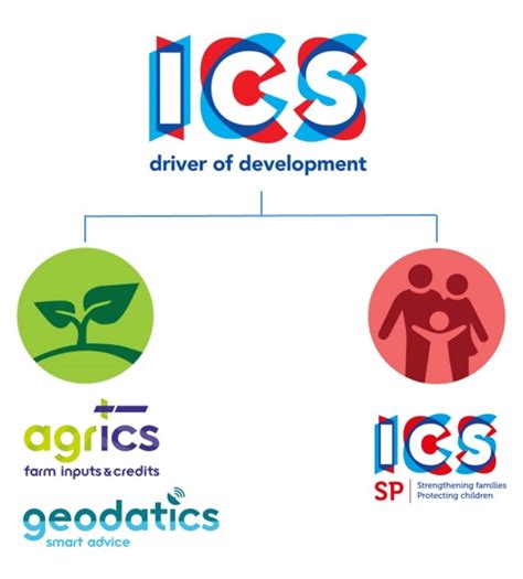 Image result for ICS Management