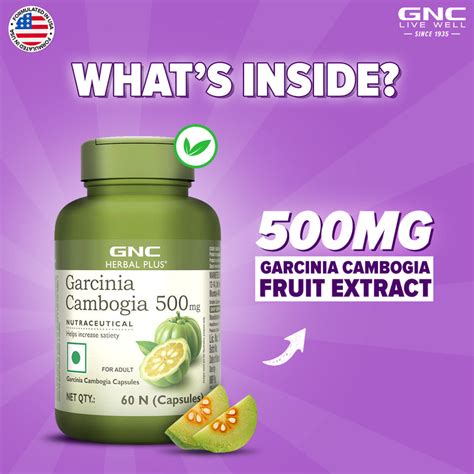 Buy GNC Garcinia Cambogia 500 mg - Natural Support for Healthy Weight ...