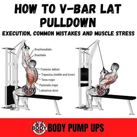 What Does V Bar Pulldown Work at Piper Armit blog