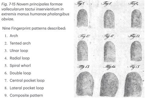 Image result for Elbow Method in Python From Scratch