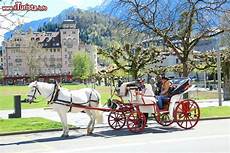 cavallo con carrozza una carrozza trainata da un cavallo con turisti foto cavallo con carrozza una carrozza trainata da un cavallo con turisti foto