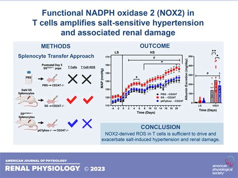 NADPH: The Unsung Hero of Your Cells
