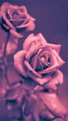 Iphone 8 Plus Wallpaper Girly by Girly Wallpapers For Iphone 72 Images Iphone 8 Plus Wallpaper Girly