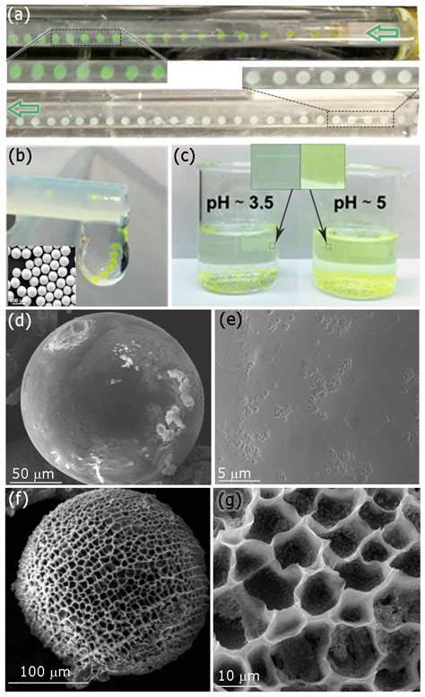 Trojan pH-Sensitive Polymer Particles Produced in a Continuous-Flow ...