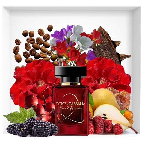 Dolce & Gabbana The Only One 2 For Women Vial 1ml Pack of 2 ...