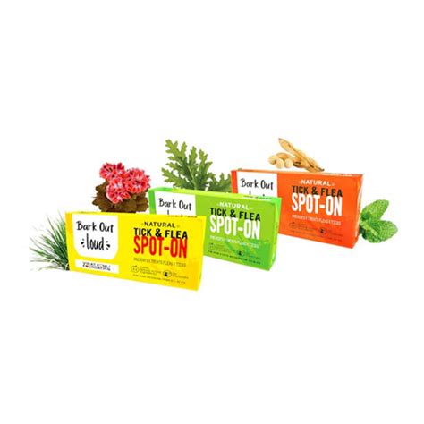 Insect Bites – A Petter Life